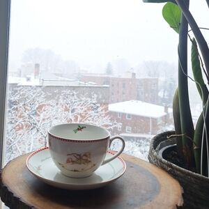 Fine Porcelain Tea Cup